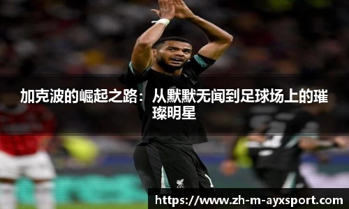 爱游戏官方入口